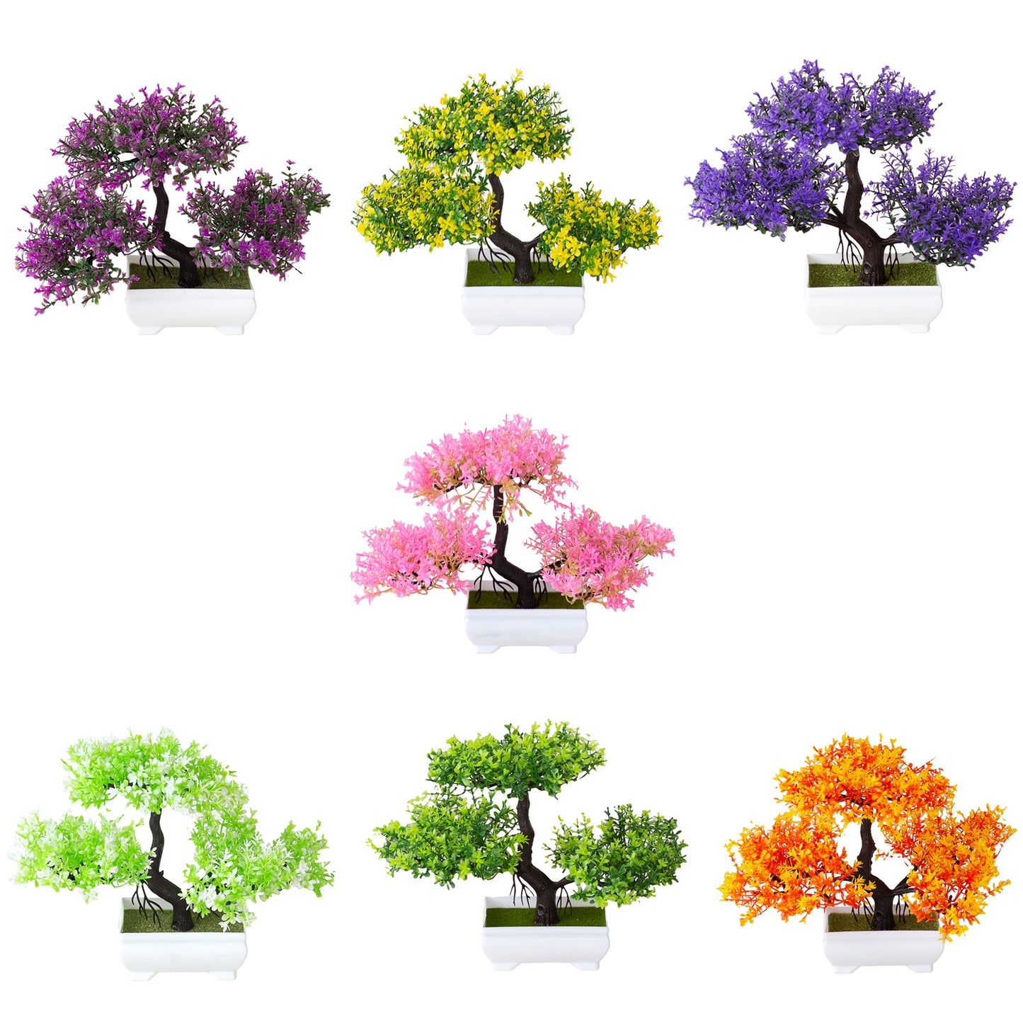 Bonsai Tree