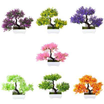 Bonsai Tree