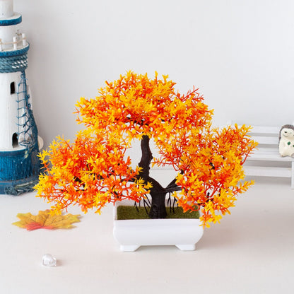 Bonsai Tree