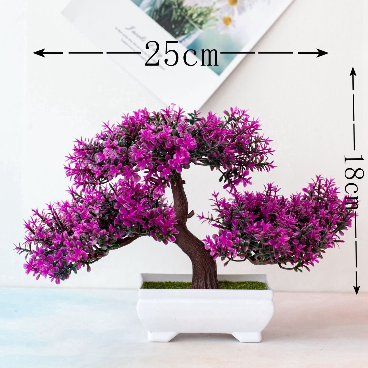 Bonsai Tree