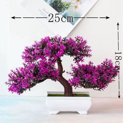 Bonsai Tree