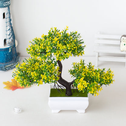 Bonsai Tree