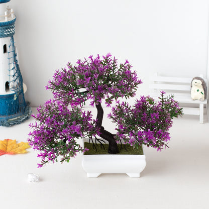 Bonsai Tree